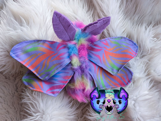 Rainbow Zebra Moth